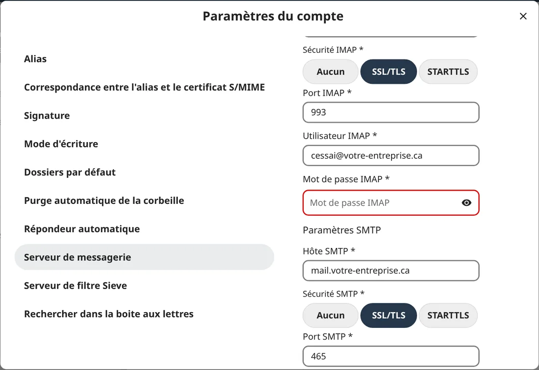 « Serveur de messagerie » : le mot de passe IMAP, puis le SMTP plus bas.
